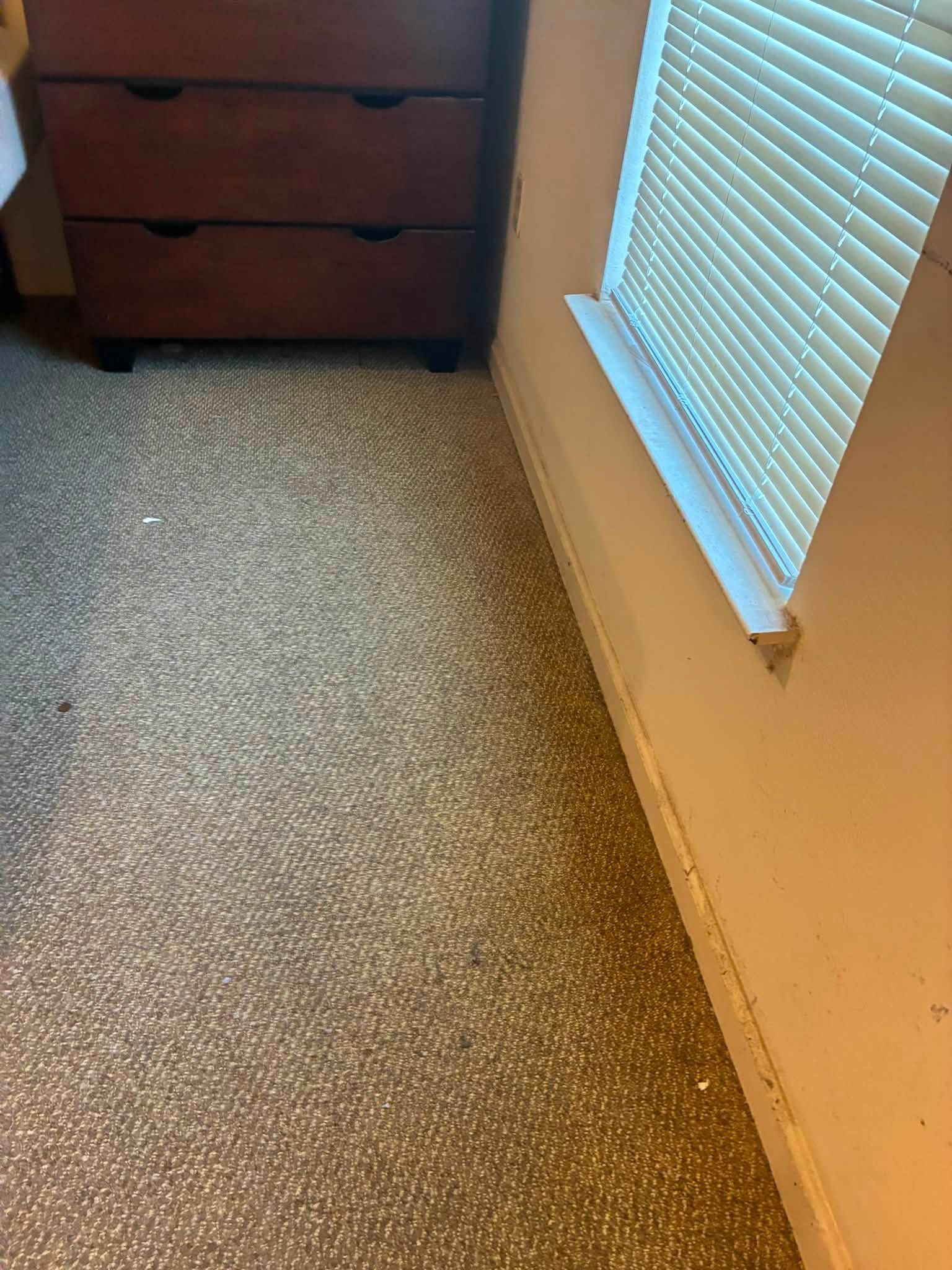 758730903 122100362415410007 6287121781210490688 n